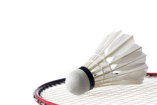 归属依旧悬 归属依旧悬